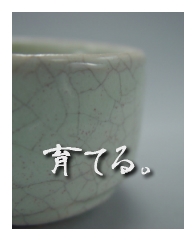 唐津ぐい呑み－育てる